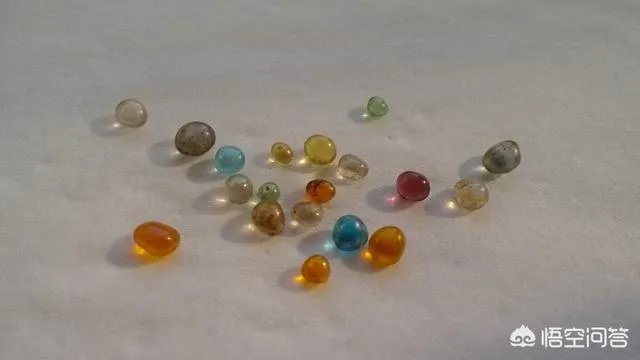 南怀瑾出舍利子了吗