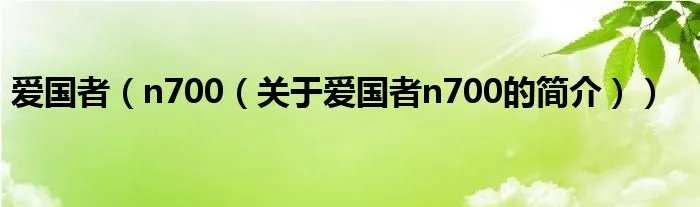 爱国者（n700（关于爱国者n700的简介））