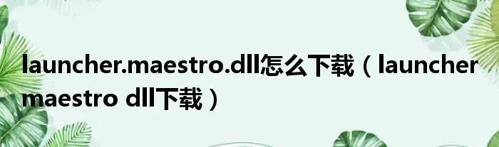 launcher.maestro.dll怎么下载（launcher maestro dll下载）