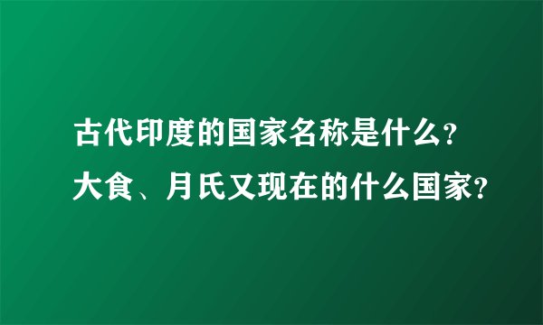 古代印度的国家名称是什么?大食、月氏又现在的什么国家?