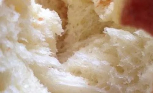 怎么用东菱面包机做面包 东菱面包机哪个型号好