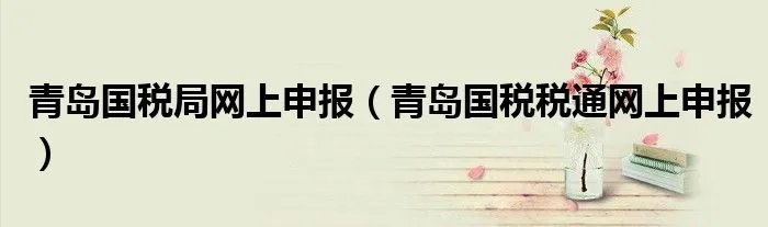 青岛国税局网上申报（青岛国税税通网上申报）