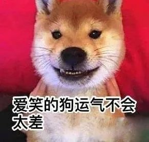 宝鸡一大学生单身21年终脱单，室友拉横幅游校一圈来庆祝，这事你怎么看？