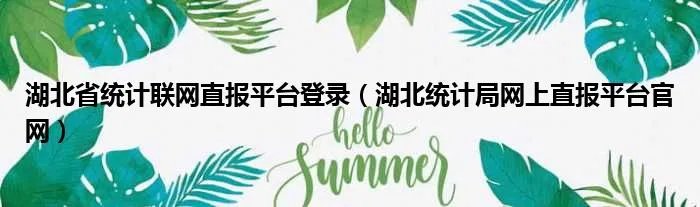 湖北省统计联网直报平台登录（湖北统计局网上直报平台官网）