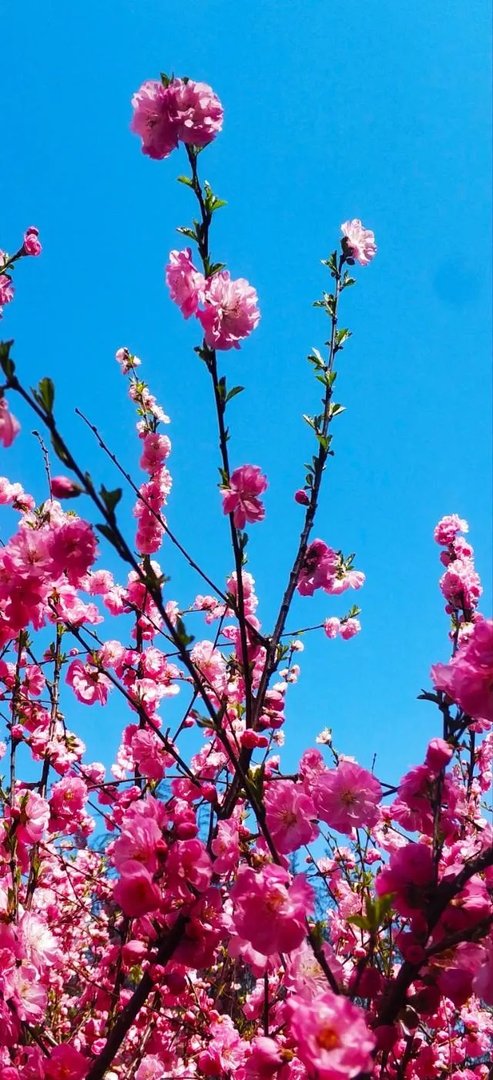 黑龙江哈尔滨大概什么时候能全面解封？