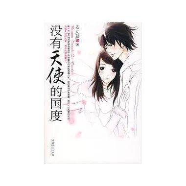 没有天使的国度的介绍