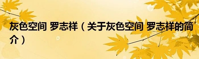 灰色空间 罗志祥（关于灰色空间 罗志祥的简介）