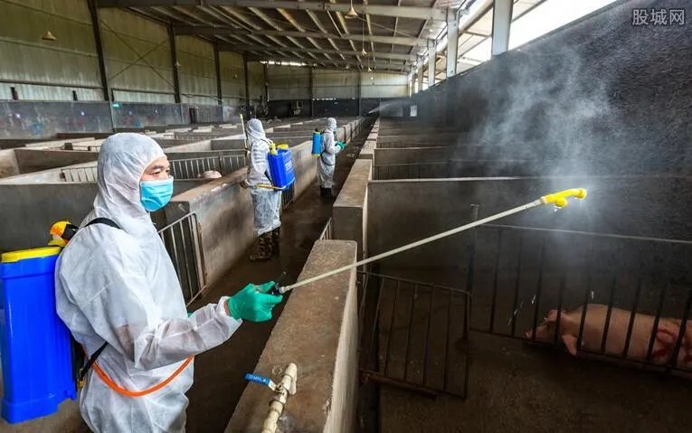 中国研究人员发现新型猪流感病毒 猪肉概念股有哪些