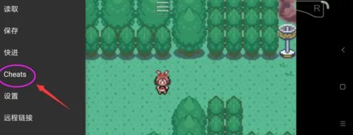 GBA的金手指怎么用?请详细点