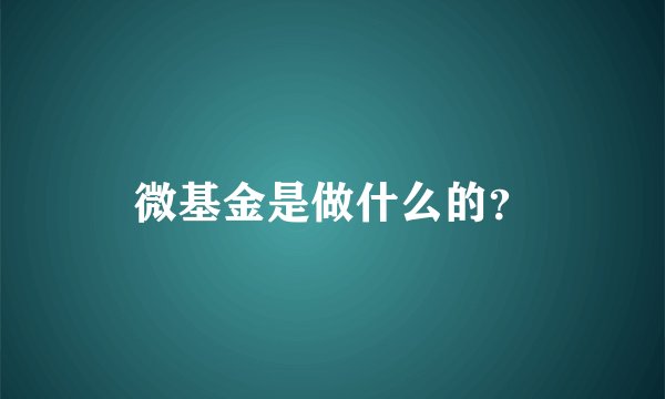 微基金是做什么的？