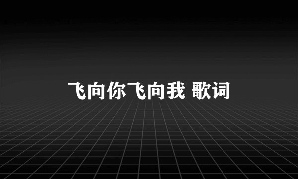 飞向你飞向我 歌词