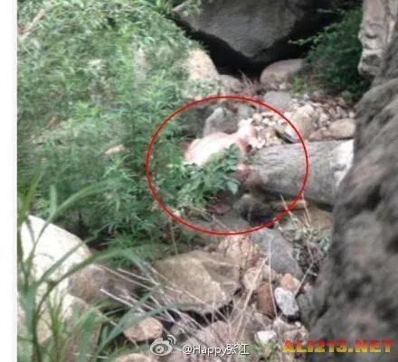 北京怀柔惊现怪兽 真相不日曝光 原来竟然是...