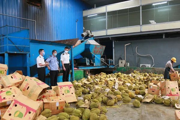 49吨榴莲销毁成有机肥,这具体是怎么一回事?