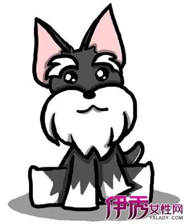 卡通雪纳瑞图片鉴赏