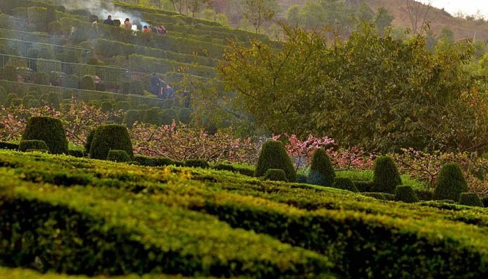 2022清明节是4月4还是4月5号 2022清明节到底是几月几号