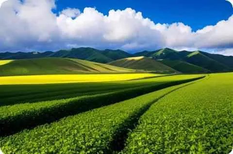 聚美优品最近什么时候有打折活动？