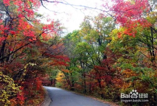 北京十一去哪玩