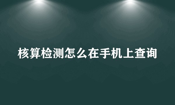 核算检测怎么在手机上查询