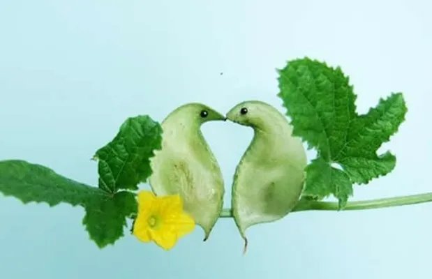 大爷用蔬菜制作出动物世界 完美诠释艺术来源于生活