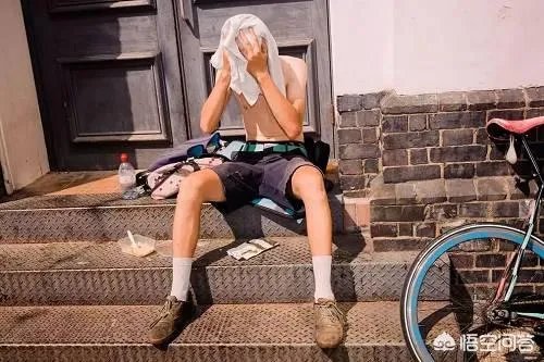 近来北极圈罕见32℃高温，高温成因是什么？北极熊受此影响会走向灭绝吗？