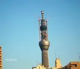 如何评价迪拜建世界最高塔？