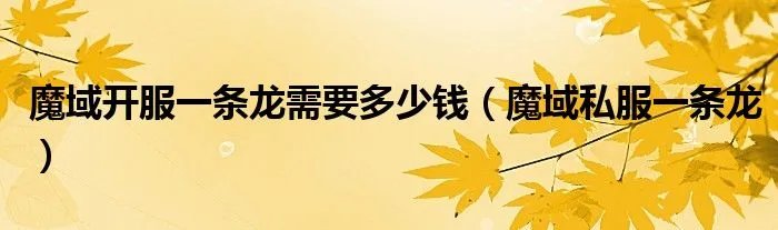 魔域开服一条龙需要多少钱（魔域私服一条龙）