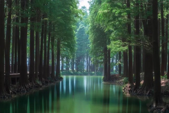 春分节气古诗 关于春分节气的诗句有哪些