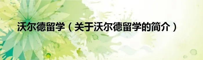 沃尔德留学（关于沃尔德留学的简介）