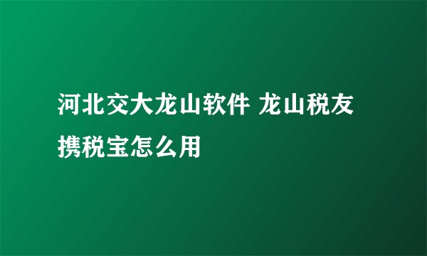 河北交大龙山软件 龙山税友 携税宝怎么用