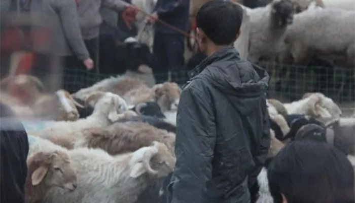 哈萨克族的古尔邦节的风俗习惯