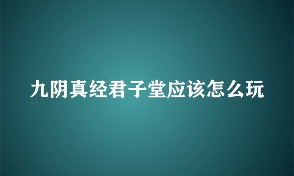 九阴真经君子堂应该怎么玩