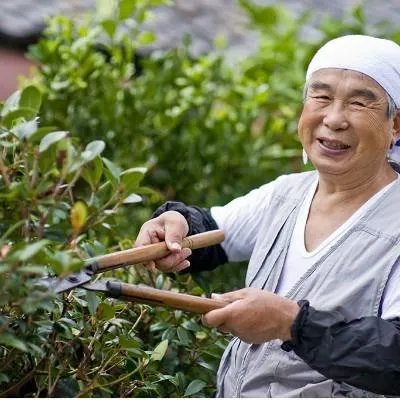 尿频尿急小便刺痛怎么回事