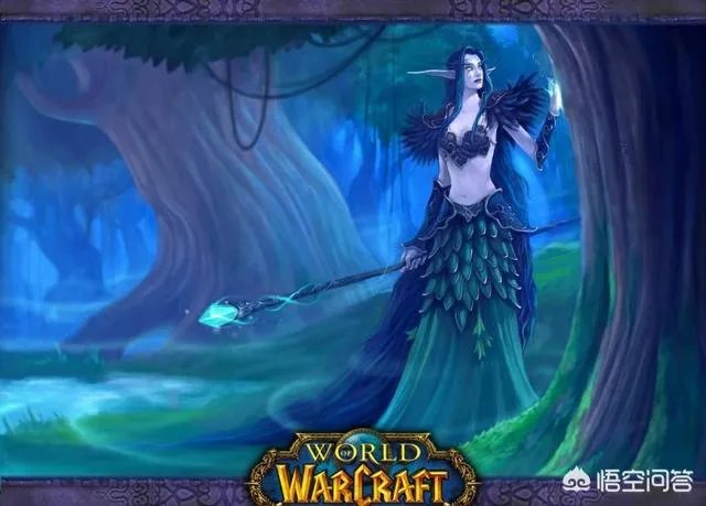 怎样评价魔兽世界私服？