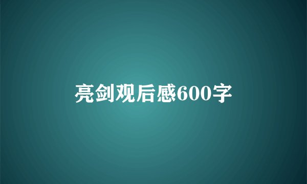 亮剑观后感600字