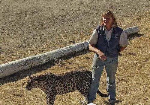 遛豹子为什么会吓坏邻居？