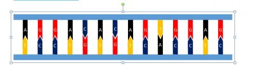 如何用ppt画出简单的DNA分子双链模型——基础篇