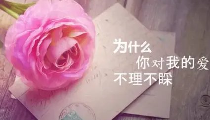 肉车多的说说推荐