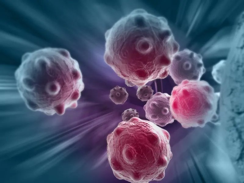 吃蕨菜会致癌吗