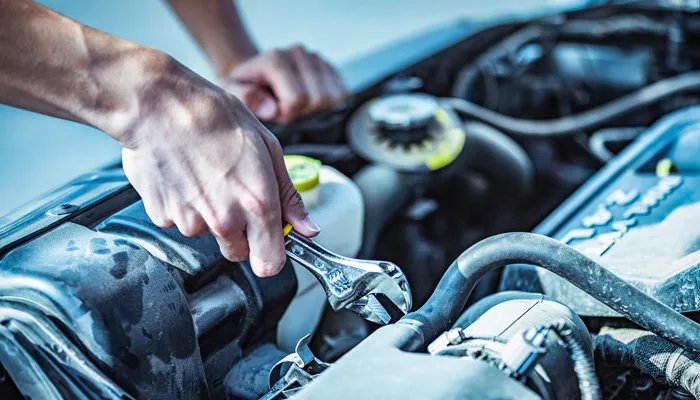 换年检标志需要什么资料 换年检标志需要什么资料