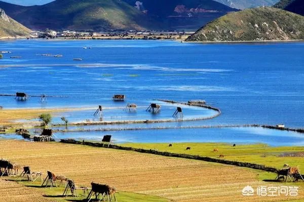 假如我想去纽约旅游一个月，这样需要多少支出？