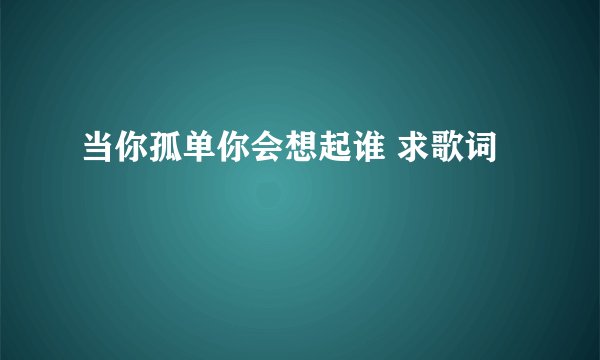 当你孤单你会想起谁 求歌词