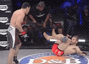 是中国武术功夫不行，还是用它的人不行？