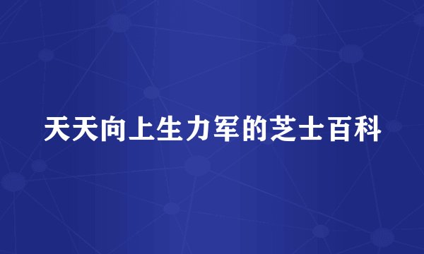 天天向上生力军的芝士百科