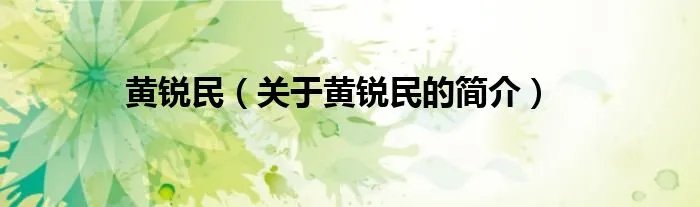 黄锐民（关于黄锐民的简介）