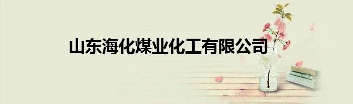 山东海化煤业化工有限公司