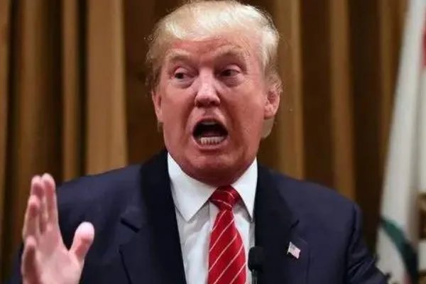 本拉登侄女居然发声支持特朗普,为何会出现这种状况?