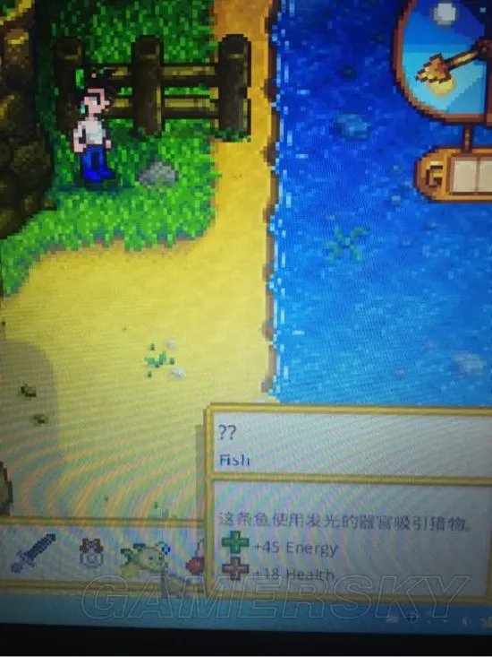 《星露谷物语》五大传奇鱼王位置与攻略 传奇鱼王在哪