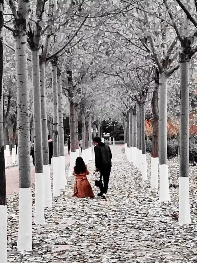 宝鸡一大学生单身21年终脱单，室友拉横幅游校一圈来庆祝，这事你怎么看？