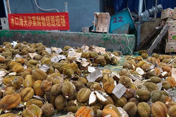 49吨榴莲销毁成有机肥,这具体是怎么一回事?