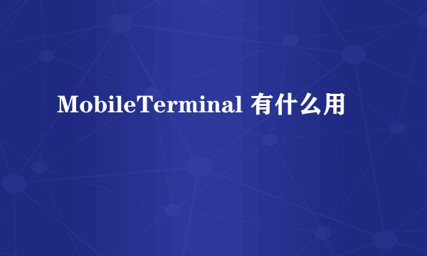 MobileTerminal 有什么用